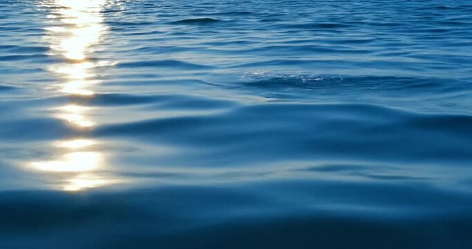 Serene water surface reflecting sunlight, creating a tranquil atmosphere at dusk