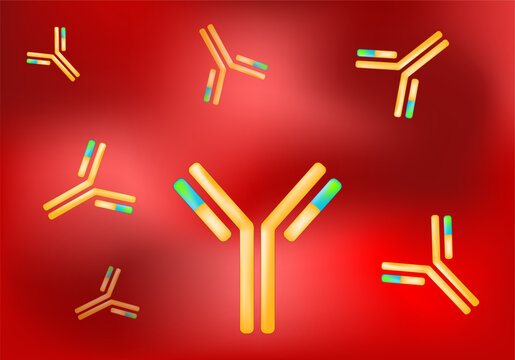 Antibody. Immunoglobulin IgE or IgG in blood.