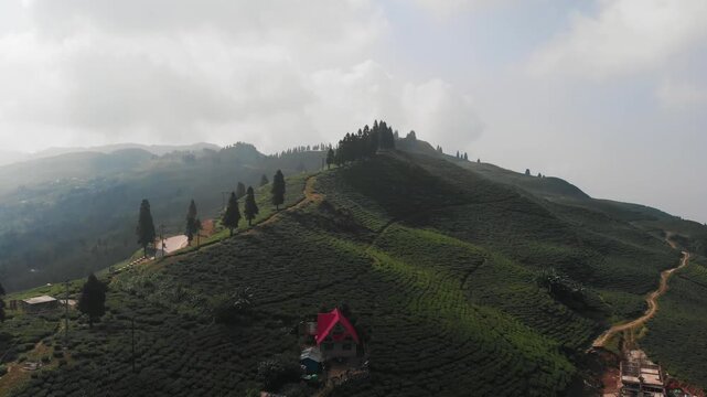 Drone view of lush green tea plantations / Tea garden in Ilam, eastern Nepal, with rolling hills, misty mountains, and small red roof houses surrounded by nature.