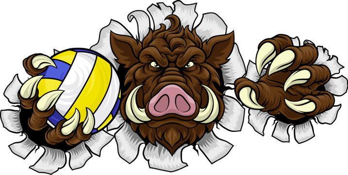 A boar razorback hog volleyball animal sports mascot holding a volley ball in his claw