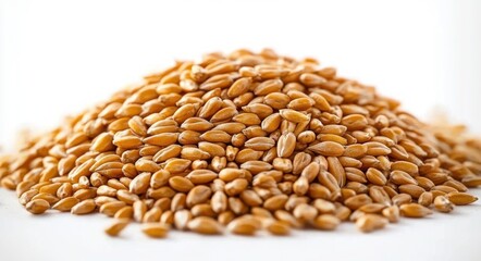 Fototapeta premium pile of golden wheat grains on white background conveying warmth and abundance