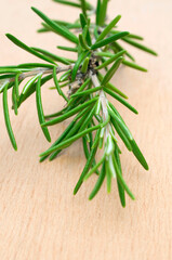 Rosemary sprig, (Rosmarinus officinalis) on wood