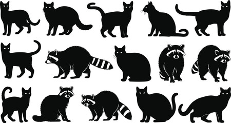 Black Silhouette Collection of Domestic Cats and Wild Raccoons in Various Poses Including Sitting Standing and Walking Isolated on White Background for Animal Graphic Design © Azufa