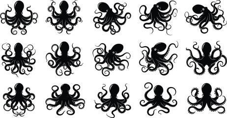 Large collection of black octopus silhouettes in various swimming and crawling poses with curved tentacles isolated on white background for marine life graphic design © Asraful