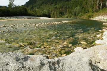 Fototapeta premium Clear Shallow River Water Flowing Over Rocks and Stones