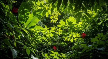Fototapeta premium Vibrant greenery with red flowers in a lush garden scene viewed from above