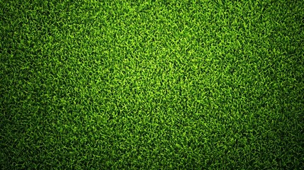 Obraz premium Green grass field wallpaper with abstract turf texture, artificial sports surface for football, baseball, soccer, and golf lawn, outdoor recreation and landscape design