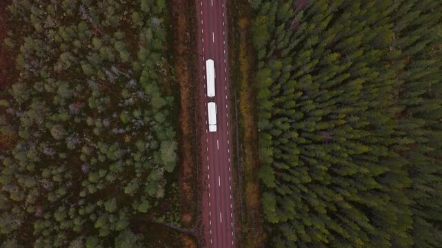 Swedish road in the woods 