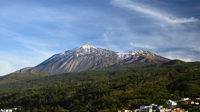 Aerial panorama of Mount Teide volcano summit rising above the Corona Forestal pine tree canopy in Tenerife