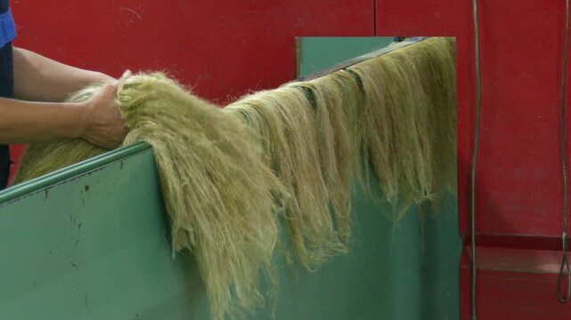 The process of making fabric from linen - sorting. Short flax fiber. Flax fiber as it is used in paper industry and for making linen cloth
