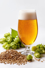 A glass of beer among neatly arranged natural ingredients malt, hop on a pure white background, 