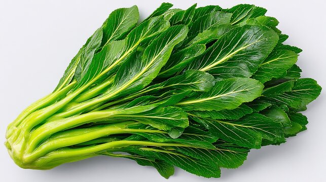 Fresh and Vibrant Bunch of Choy Sum Greens on a Clean White Background Showing Deliciousness