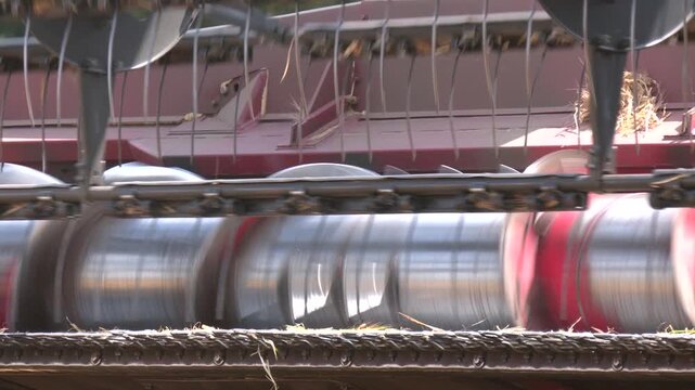 The harvest of grain. The threshing drum of the combine harvester close-up. A close-up of agricultural machinery with metal blades and green field background. 
