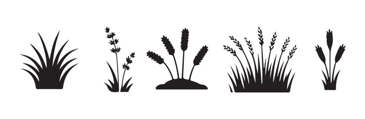 Floral and herbal silhouettes set of wild grass bushes and wheat stalks for garden design © MdJahid