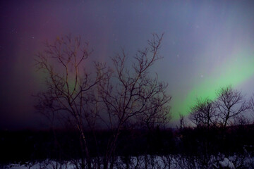 Naklejka premium Aurora borealis, polar lights with Milky Way stars.