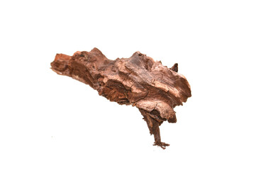 Fototapeta premium tree bark isolated on white background