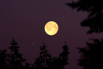 Full Moon, stars, planets and rural landscape scenery silhouettes. © astrosystem