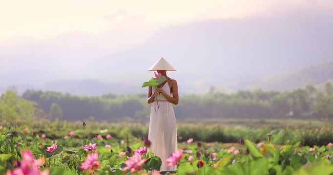Cinematic Lotus Field Portrait At Sunrise, Tra Ly Thai Binh Vietnam