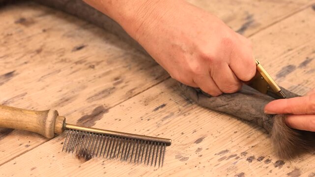 Furrier carefully cuts a mink pelt with a traditional furrier knife in a workshop. Handmade process in the fur industry, working with natural animal pelts to produce luxury mink fur coats.