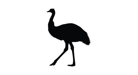 Obraz premium Silhouette of a rhea a large flightless bird depicted in black