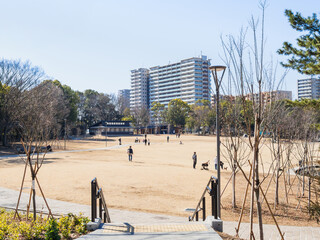 多摩ニュータウン　多摩中央公園