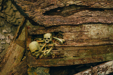 Fototapeta premium Traditional Torajan Burial Coffins on Limestone Cliff in Toraja, Indonesia