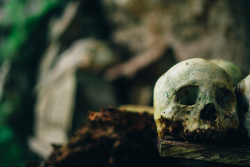 Fototapeta premium Traditional Cliff Burial Coffin and Human Skulls at Londa, Toraja, Indonesia