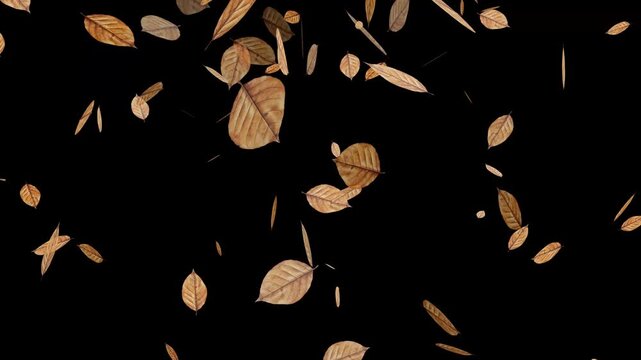 Abstract dynamic green leaves falling backdrop overlay smooth seamless animation on black background