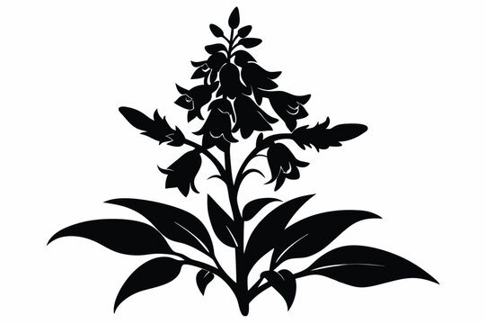 penstemon silhouette line art vector illustration