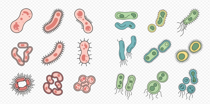 Collection of illustrated bacteria, microbes, and pathogens for science and medicine.