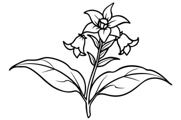 Obraz premium penstemon silhouette line art vector illustration
