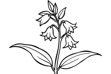 Obraz premium penstemon silhouette line art vector illustration