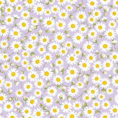 Obraz premium Seamless pattern of delicate white daisies with green buds on a soft lilac background