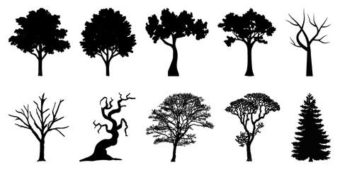 Various types of trees with different shapes and sizes, isolated on transparent background © razia