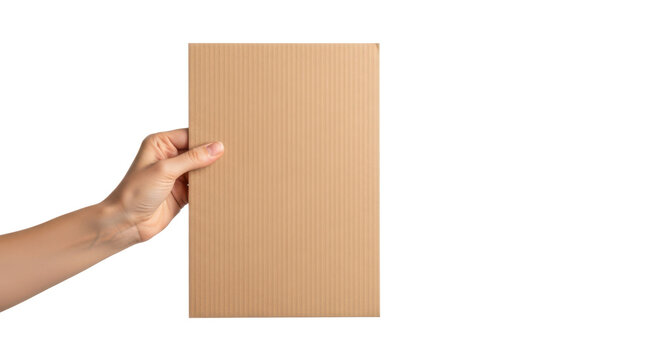 Woman's hand holding a blank brown cardboard sheet for mockup. Isolated on transparent background, png