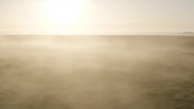 Calm Atmospheric Veil Static shot of a tranquil, ambiguous space with gentle fog slowly moving, perfectly lit from above, emphasizing serenity.