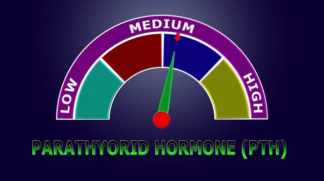 4K Animated Parathyroid Hormone (PTH) Level Meter Increasing from Low to High Levels , Monitoring Calcium Regulation and Bone Health.