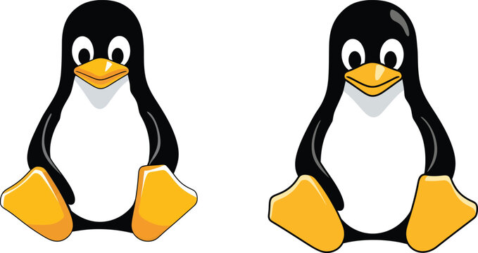 Linux penguin mascot character tux with yellow feet and white belly illustration