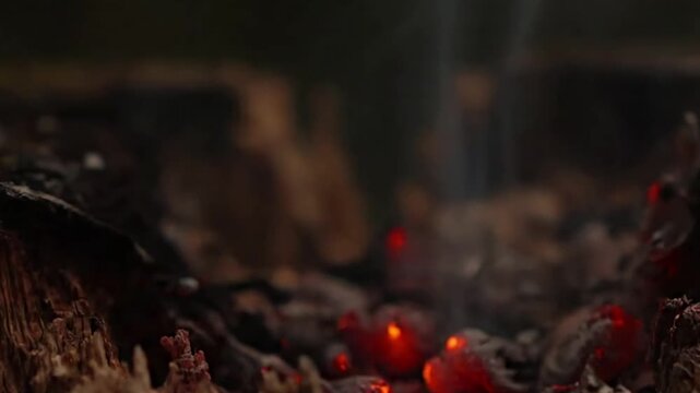 Compost Pile Embers An abstract, artistic time-lapse shot of a few isolated embers smoldering gently within a large, organic compost pile, symbolizing transformation and natural energy.