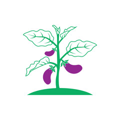 Eggplant logo vector icon illustration design