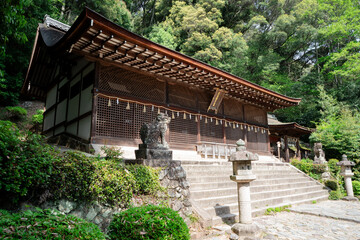 宇治上神社 本殿