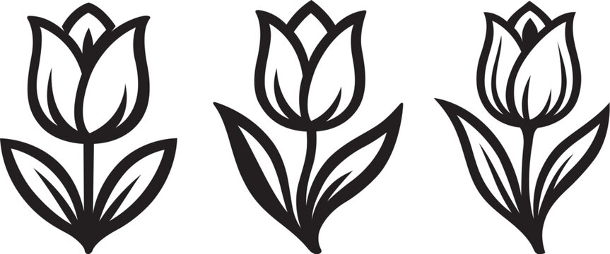 stylized tulip flower in vector