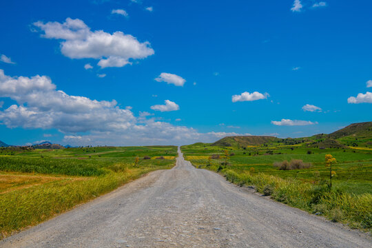Country road and green wheat fields natural scenery at day time under blue cloudy sky.