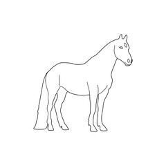 Obraz premium Horse Silhouette Line Art Black and White Vector.