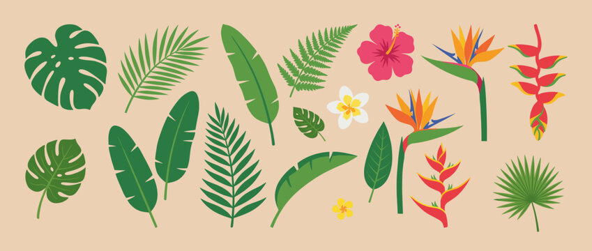 Vibrant Tropical Leaves and Exotic Flowers Collection in Flat Vector Illustration Style on Beige Background