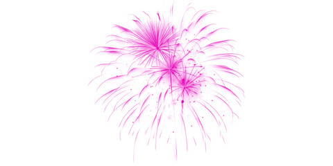 Vibrant pink fireworks burst across a dark night sky illuminating celebrations and festive moments with dazzling light