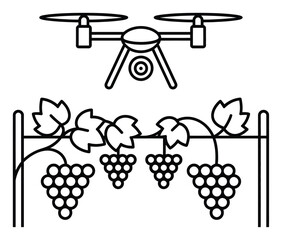 Naklejka premium Drone Over Vineyard Grapes Vector Illustration