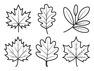 Obraz premium Collection of Six Stylized Autumn Leaf in Black and White