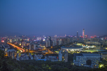 Obraz premium Shenzhen City Skyline at Night - The City That Never Sleeps