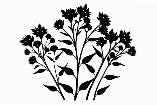 statice silhouette line art vector illustration